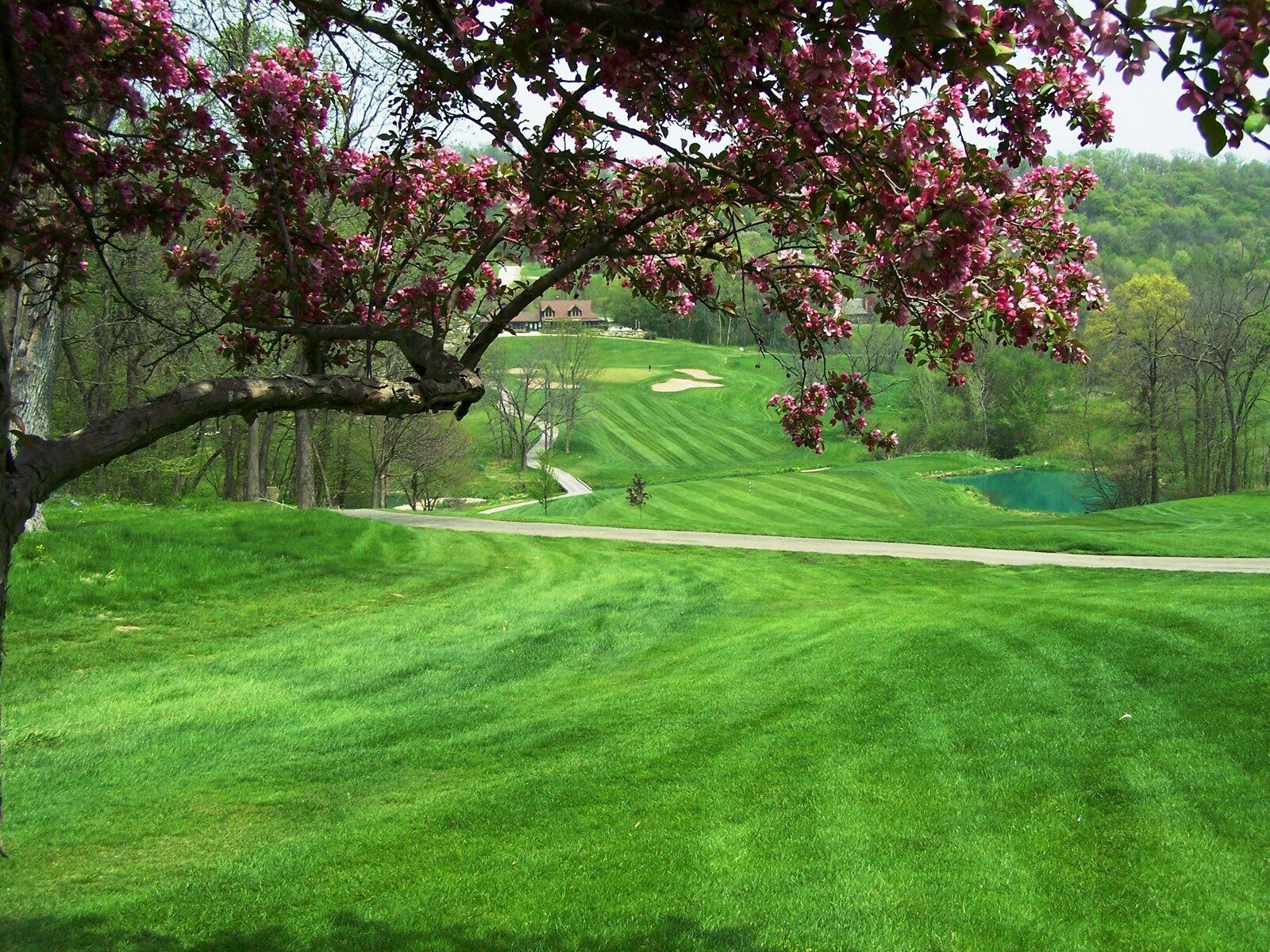 Eagle Ridge Resort And Spa Galena Εξωτερικό φωτογραφία